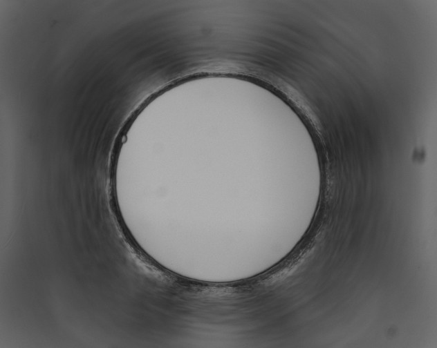 X0000089390845200707131718
