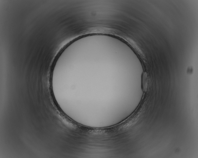 X0000089390846200707131718
