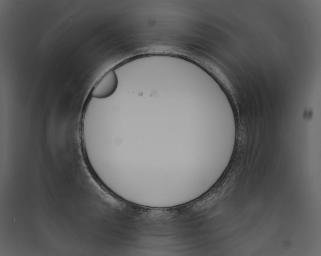 X0000089390847200707131718
