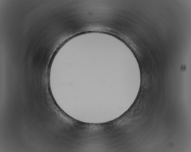 X0000089390848200707131718