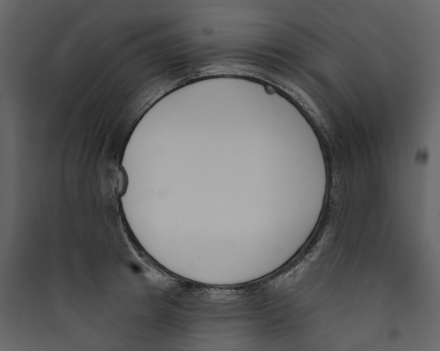X0000089390849200707131718