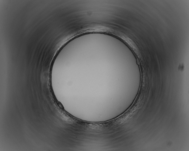 X0000089390850200707131718