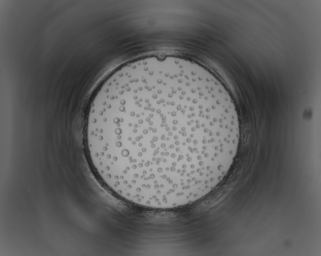 X0000089390851200707131718