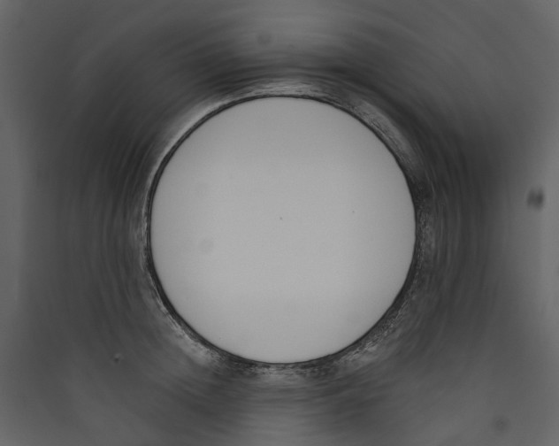 X0000089390852200707131718