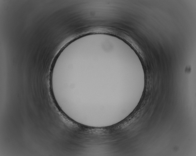 X0000089390853200707131718