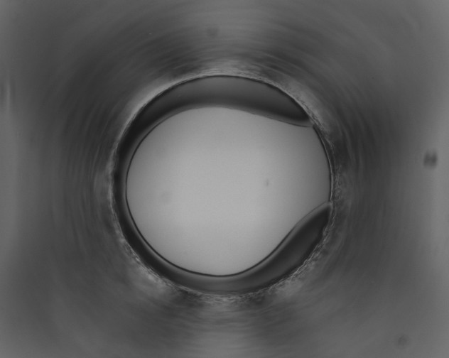 X0000089390854200707131718