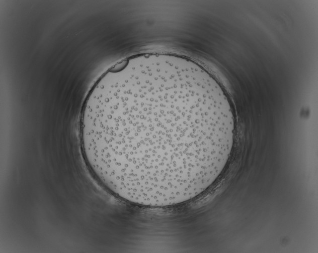 X0000089390855200707131718