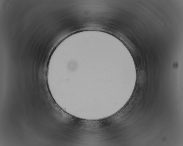 X0000089390856200707131718