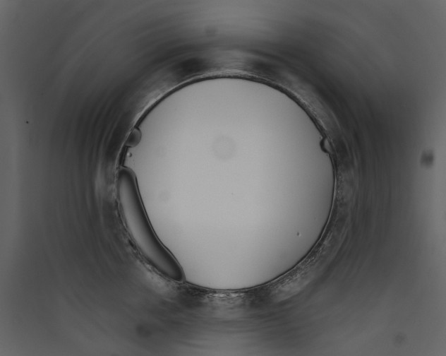X0000089390858200707131718