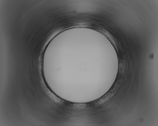 X0000089390859200707131718