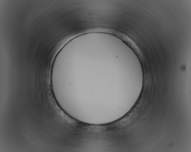 X0000089390860200707131718