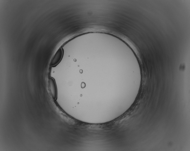 X0000089390861200707131718