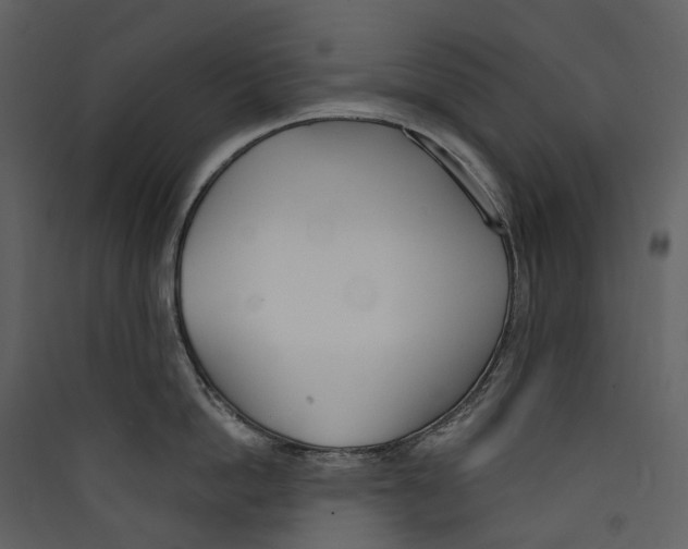 X0000089390862200707131718