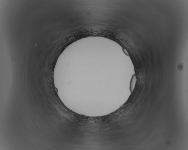 X0000089390865200707131717