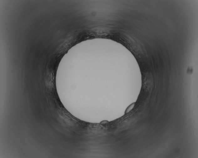 X0000089390866200707131717