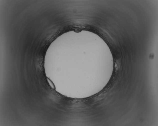 X0000089390867200707131717
