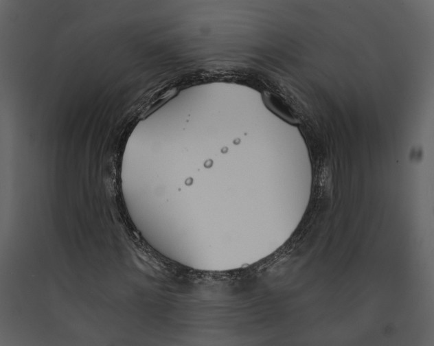 X0000089390868200707131717