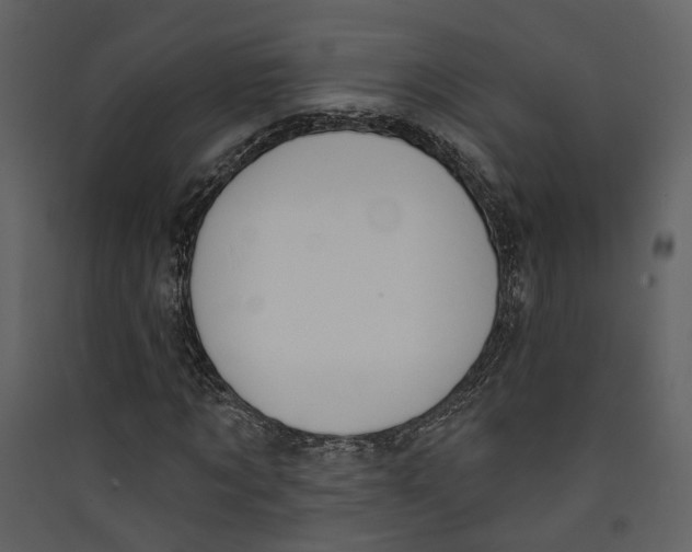 X0000089390869200707131717