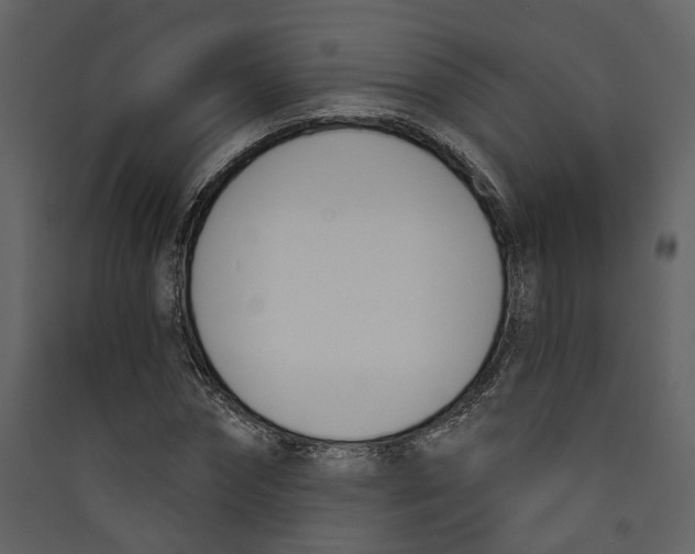 X0000089390874200707131717