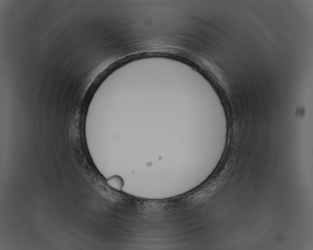 X0000089390875200707131717