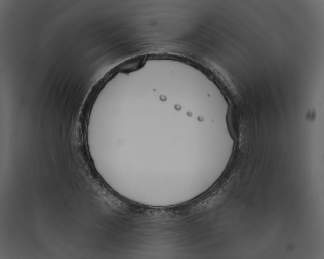 X0000089390876200707131717