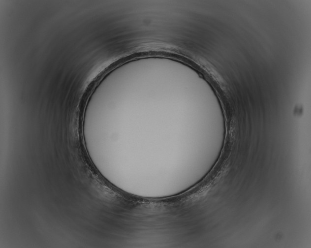 X0000089390877200707131717