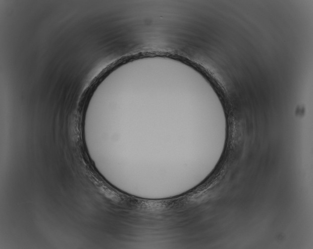 X0000089390878200707131717