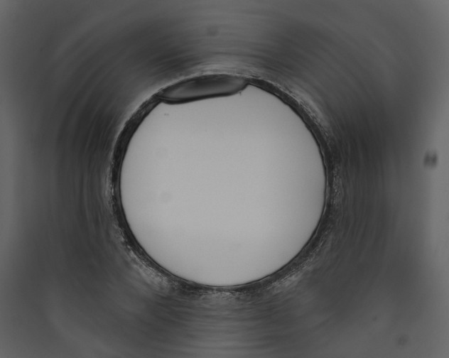 X0000089390880200707131717