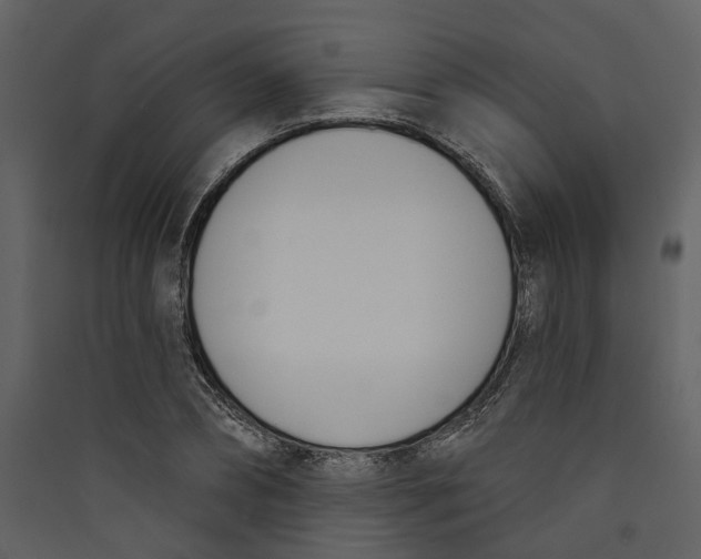 X0000089390882200707131717