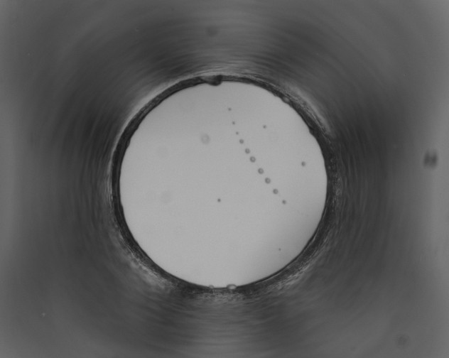 X0000089390884200707131717