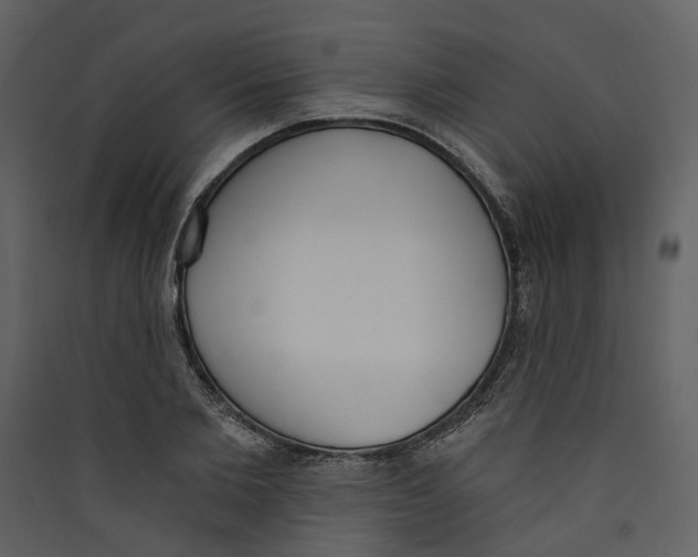 X0000089390885200707131717