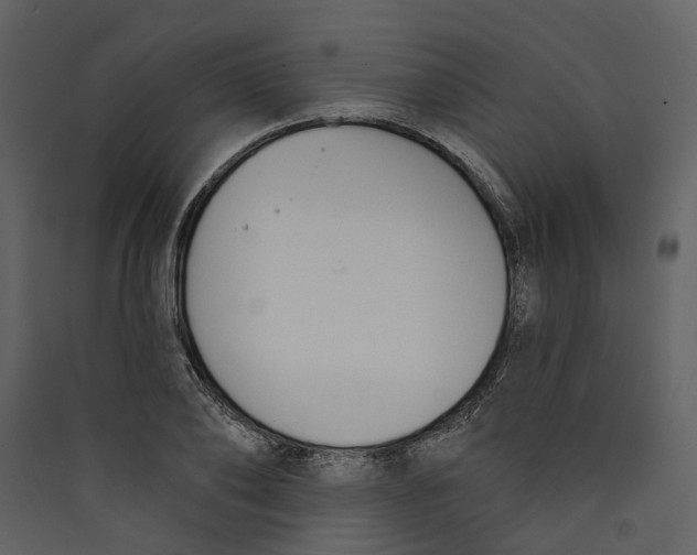 X0000089390886200707131717