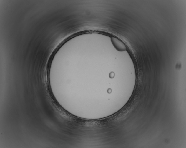 X0000089390887200707131717