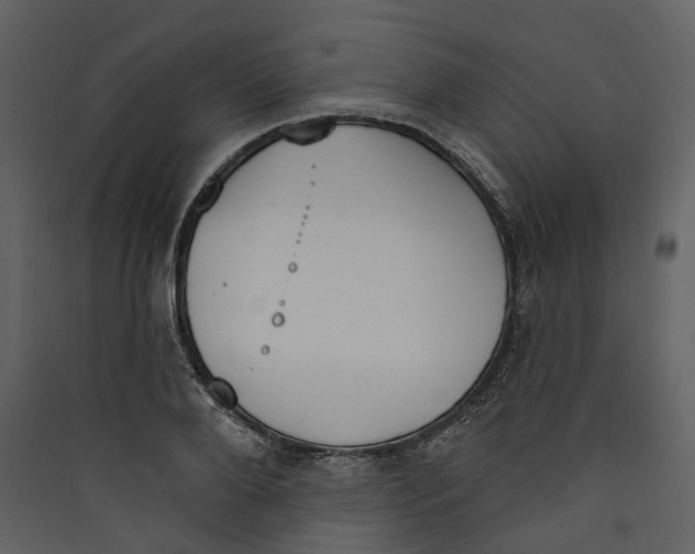 X0000089390888200707131717