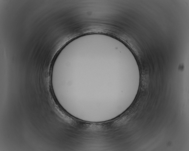 X0000089390890200707131717