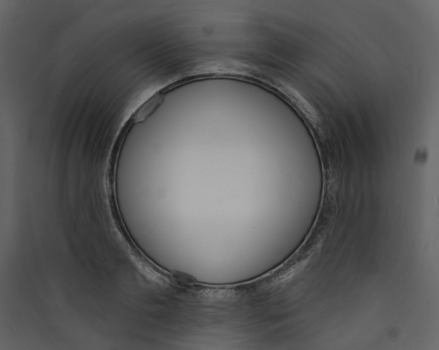 X0000089390893200707131717