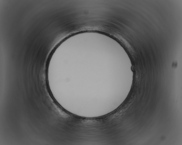 X0000089390894200707131717