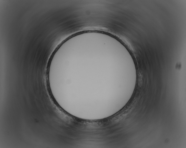 X0000089390895200707131717