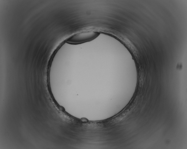 X0000089390896200707131717