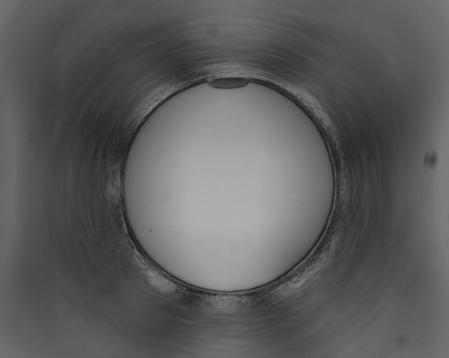 X0000089390897200707131717