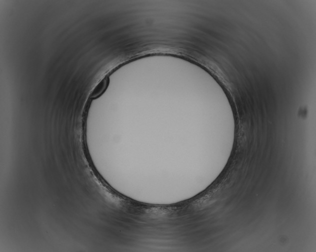 X0000089390898200707131717