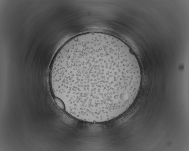 X0000089390899200707131717