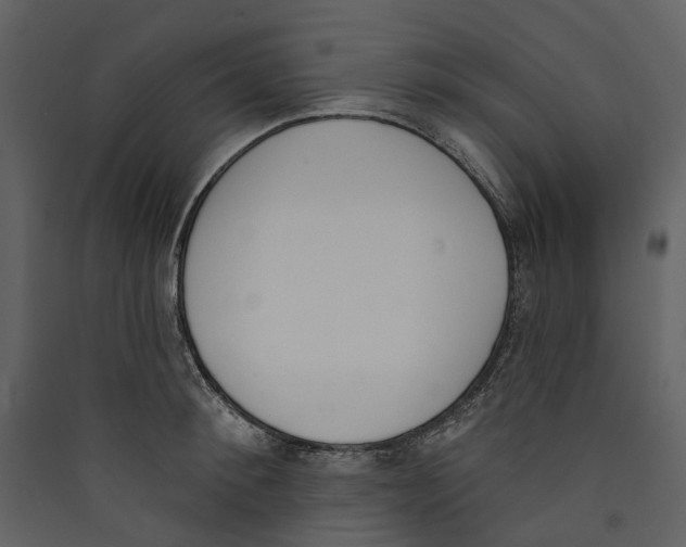 X0000089390900200707131717