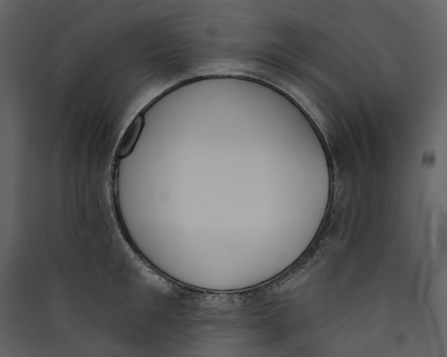X0000089390901200707131717