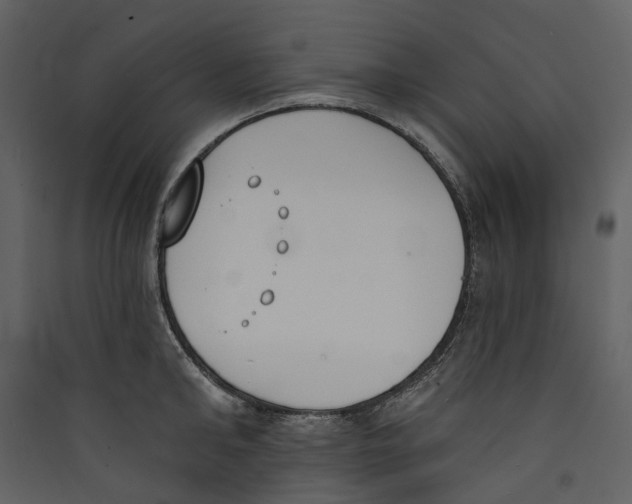 X0000089390902200707131717