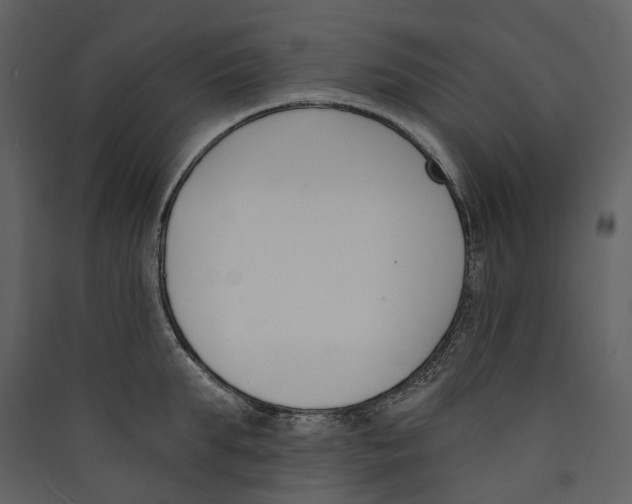 X0000089390903200707131717