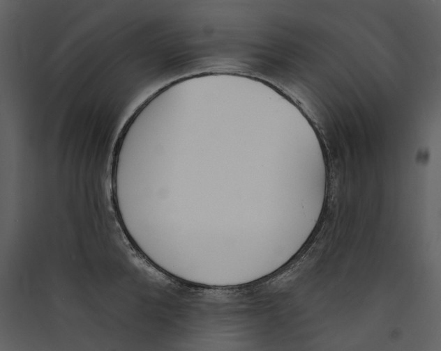 X0000089390904200707131717