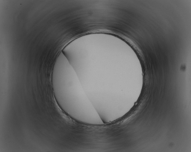 X0000089390905200707131717