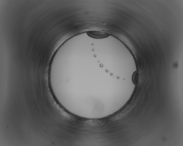 X0000089390906200707131717
