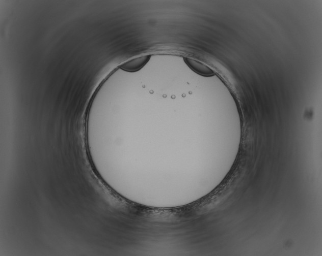 X0000089390907200707131717